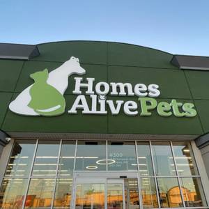 About Homes Alive Pets