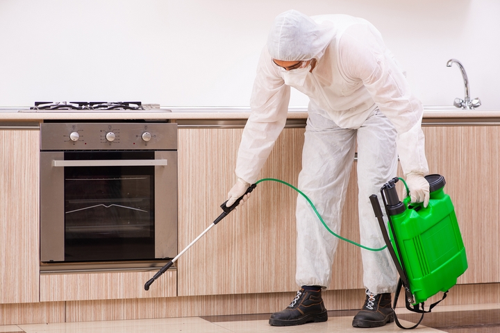 Affordable Pest Control Pest Control Services